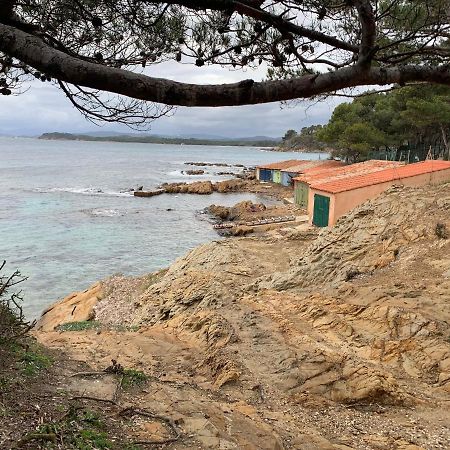 T2 climatisé à l'Ile d'Or avec piscine près de la plage La Londe-les-Maures Exterior foto